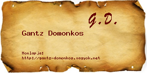 Gantz Domonkos névjegykártya